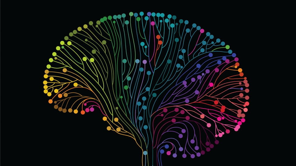 ارتباط بین شبکه های عصبی و مغز انسان