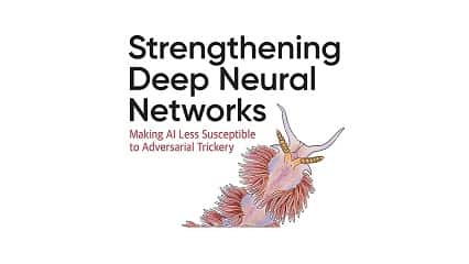 معرفی کتاب Strengthening Deep Neural Networks