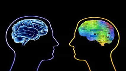 ارتباط بین شبکه های عصبی و مغز انسان